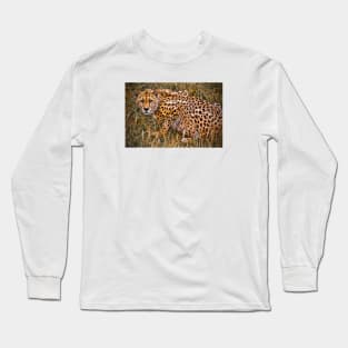 Cheetah in the Grass Long Sleeve T-Shirt